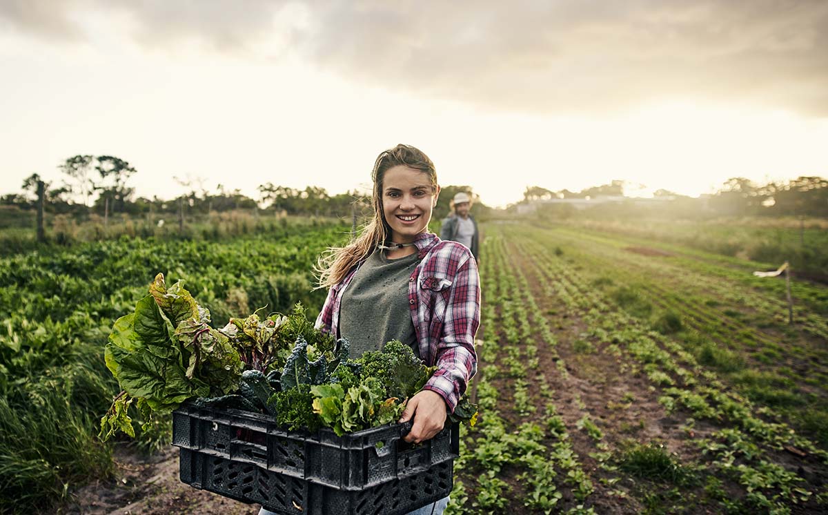 Vrouw met krat groenten in een veld