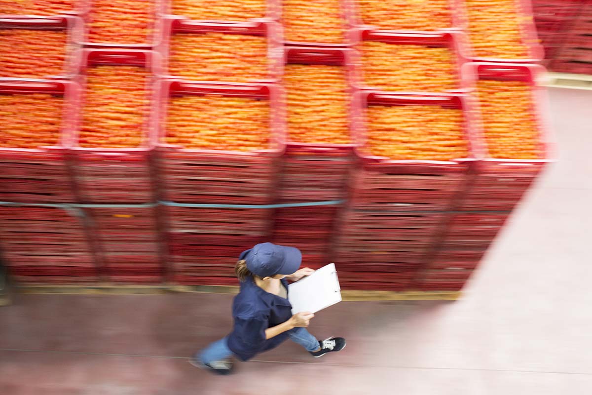 Vrouw, van boven gezien, met pet en klembord. Ze loopt langs stapels oranje kratten.