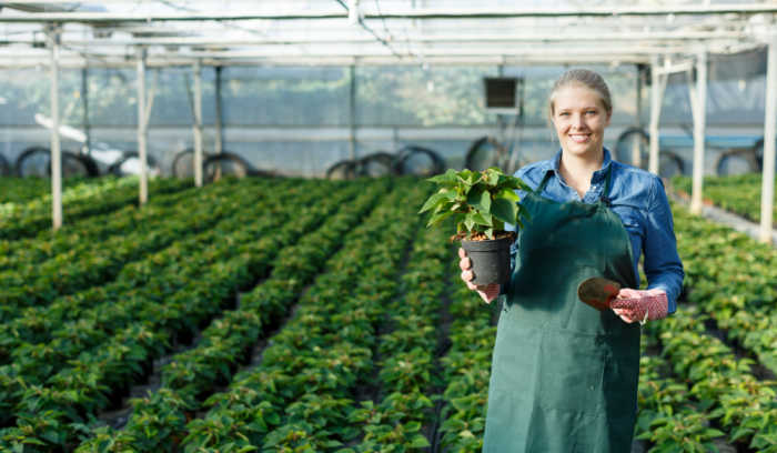 Vrouw in kas met een groene potplant in haar hand
