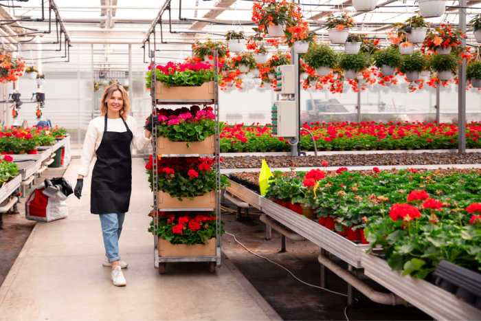 Vrouw met cc-kar vol bloeiende planten in een kas