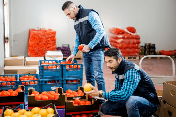 Mannen die fruit inspecteren dat in kratten en dozen zit