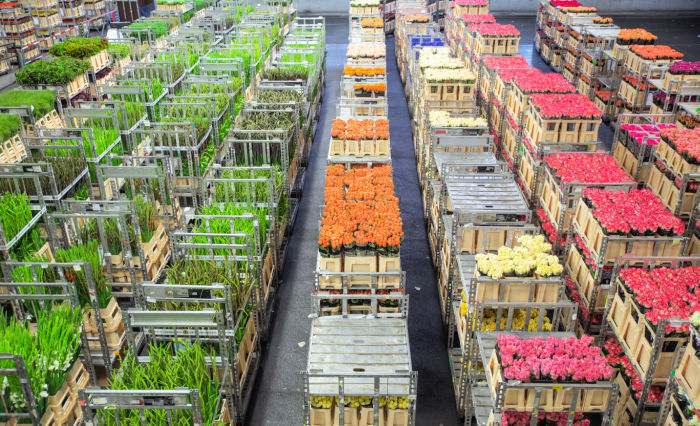 Leo Schalkoort B.V. over PackControl: het past goed bij ons